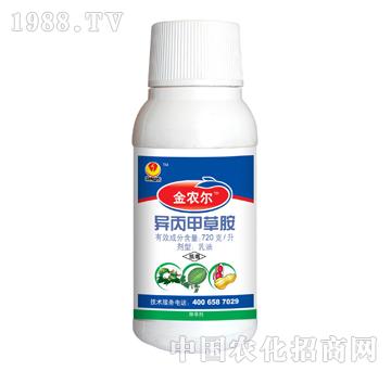 720/ײݰ-r(nng)-̩(yng)