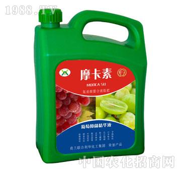 ־AҺ-Ħ-(qing)о(gu)H