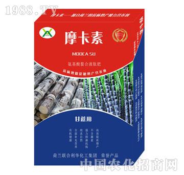 ጣ(zhun)ðҺķ-Ħ-(qing)о(gu)H