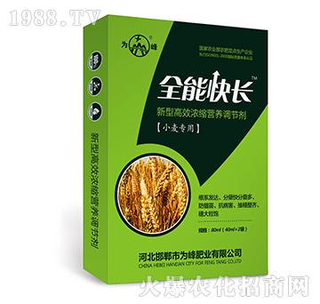 ȫܿL(zhng)С(zhun)ã-͸ЧsI(yng)B(yng){(dio)(ji)-