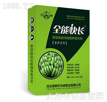 ȫܿL(zhng)㽶(zhun)ã-͸ЧsI(yng)B(yng){(dio)(ji)-