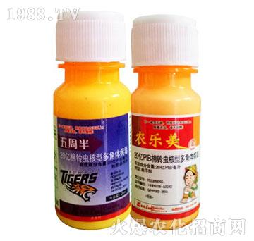 x(chng)Ͷw-ܰ+r(nng)(l)-P