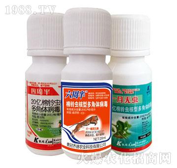 20|x(chng)Ͷw-ܰ+ܰ+һo(w)x(chng)-P