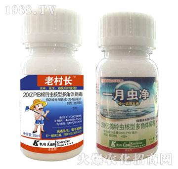 x(chng)Ͷw-ϴL(zhng)+һ_-P