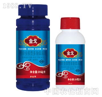 20|PIB/x(chng)Ͷw--{(ln)