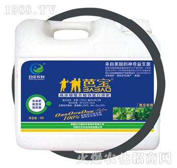 SόãͰ-ߝsֲﵰҺ-r(nng)