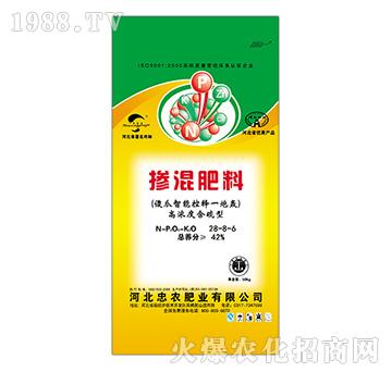 28-8-6-ɵܿһZ-rʘI(y)