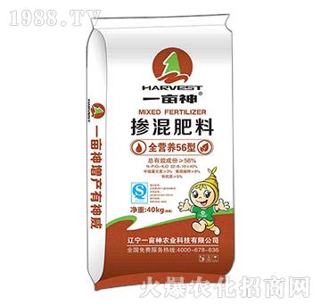 ȫI(yng)B(yng)56͓22-8-10-һ