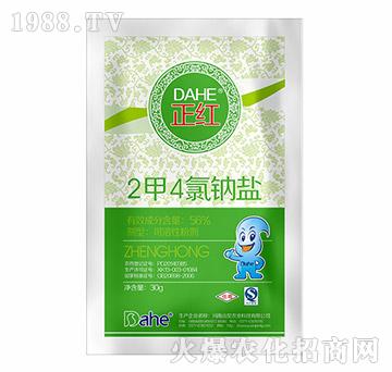 24c}-t-h(yun)Ҋ(jin)r(nng)I(y)