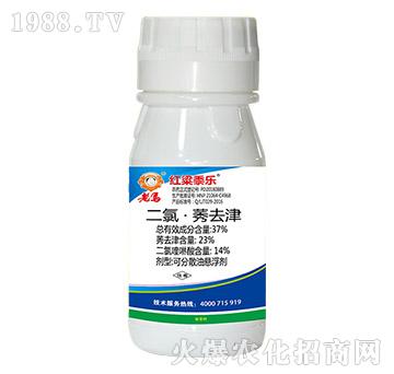 37%ȡݬȥ-t(l)-r(nng)I(y)