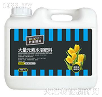 ҸʹԪˮܷ-o(h)(gu)H