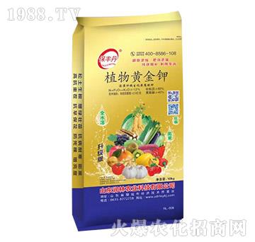 ֲS-S-(rn)r(nng)I(y)