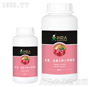 Onɫ`{(dio)(ji)-С