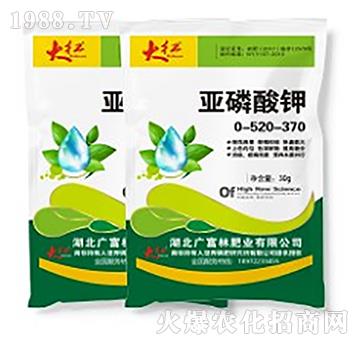 ԭҺ0-520-370b-VַʘI(y)