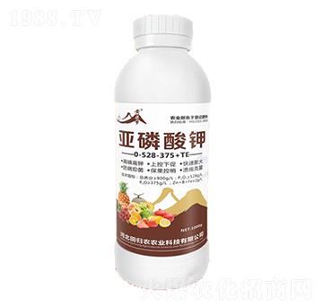 0-528-375+TE-S-rI(y)