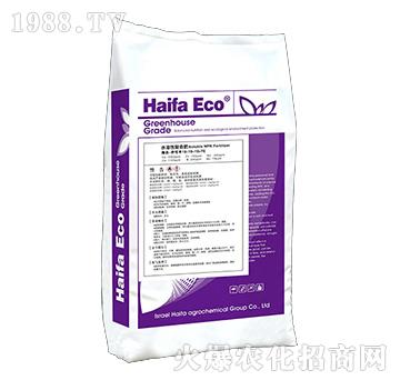 ˮԏ(f)Ϸ19-19-19+TE-S-