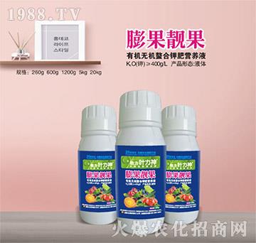 n-ЙCoC⛷ʠIB(yng)Һ-ʩ