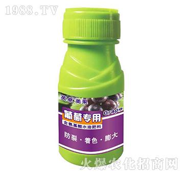 ь(zhun)úˮܷ-Ӣ׿-