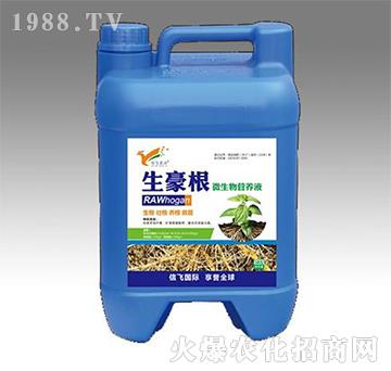 ΢IB(yng)Һ--wr(nng)I(y)