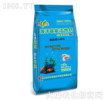 {(dio)턩w-̼ܻ}-лʢ