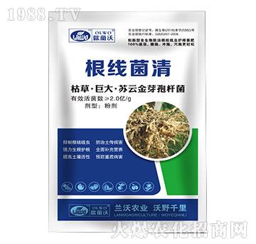 ݲݡ޴KƽѿߗU--mr(nng)I(y)