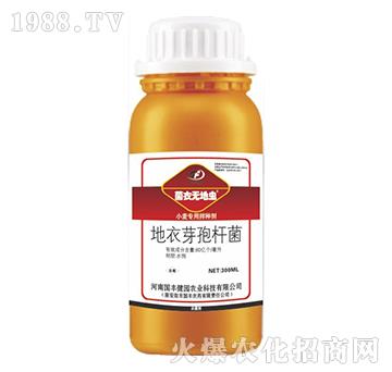 СðN-o(w)x-(gu)S@