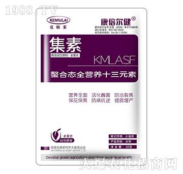 ϑB(ti)ȫIB(yng)ʮԪأ---ķR