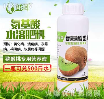 JҌ-r(rn)ֲI(yng)B(yng)Һ-r(nng)