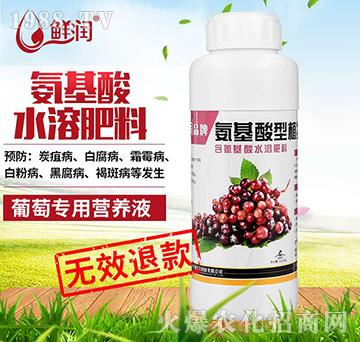 ь-rƷưֲIB(yng)Һ-r(nng)