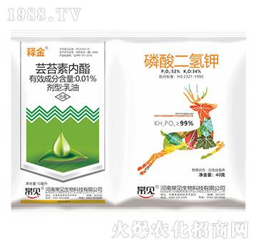 |̦؃(ni)+-ጽ-Ҋ(jin)