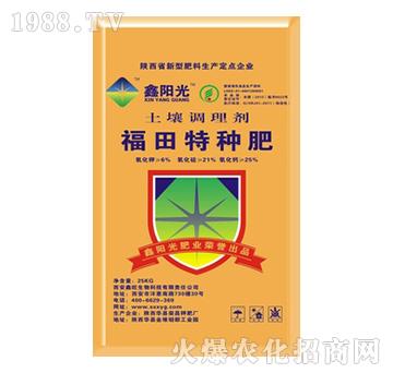 {(dio)턩-طN-(yng)-s