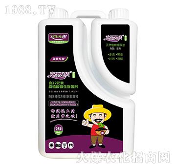 12Ԫظֲ΢-g(l)o(w)-ɭ