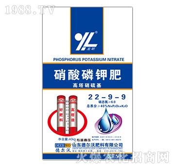 ⛷22-9-9--?tng)? width=