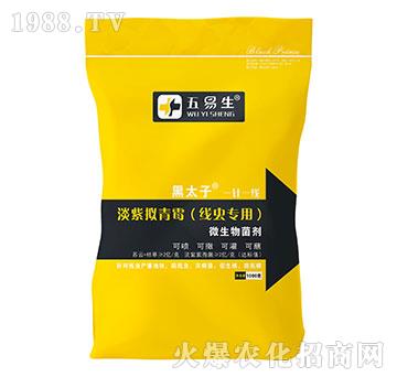 (xin)x(chng)(zhun)õϔMù-̫-