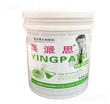 Ӣ˼(f)΢ r(nng)I(y)