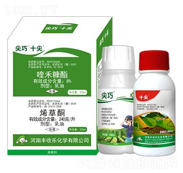 8%୺̿+24%ϩͪ-ʮ-S՘