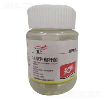 ݲѿߗUSή(zhun)ã--ɭ߿