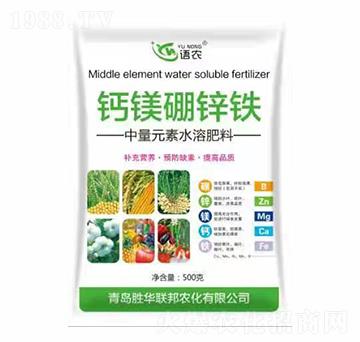 }V\F-Zr(nng)-A(lin)