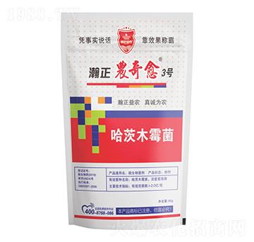 ľù-r(nng)3̖-r(nng)