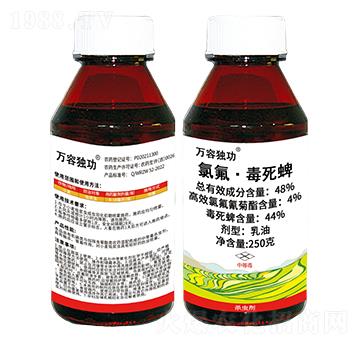 48%ȷ-f(wn)ݪ(d)-f(wn)