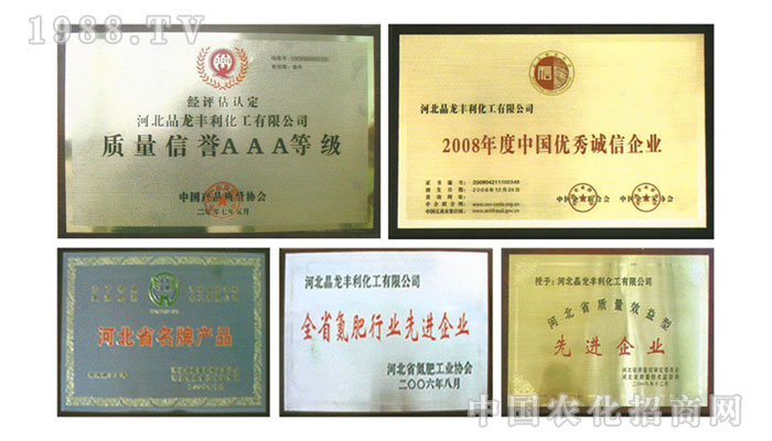 河北晶龍豐利化工有限公司