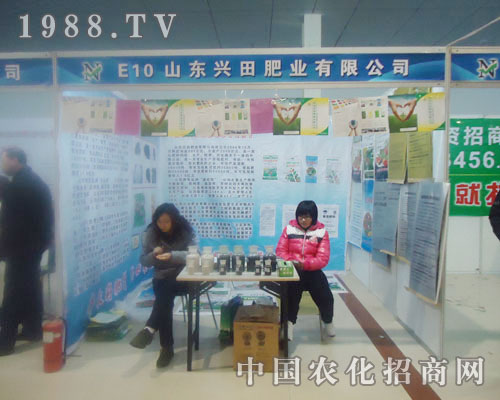 ɽ|dʘI(y)-ʝr(nng)Yչλ