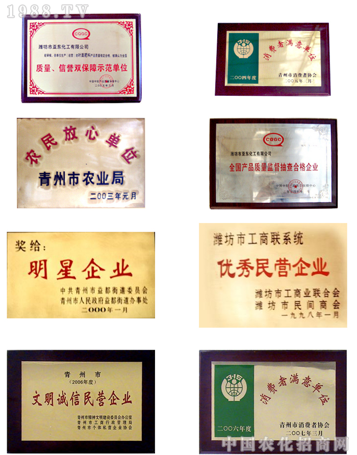 濰坊市亞東化工有限公司