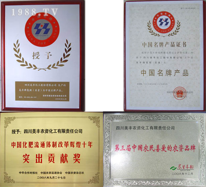 四川美豐農(nóng)資化工有限責任公司