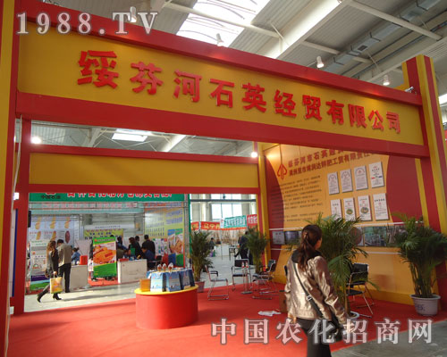 ʯӢ(jng)Q(mo)ʮ⛷Q(mo)Ʒ