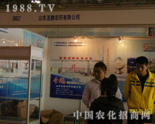 2011ֲɽ|ʥir(nng)ˎһ·I(lng)