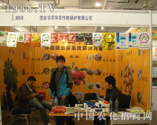 Pעɽ|ϕ Pעr(nng)Ar(nng)