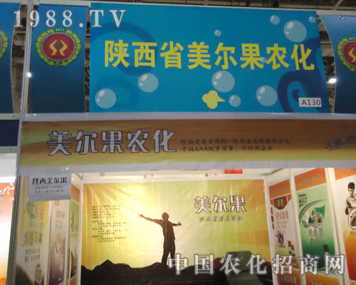 2011BTȫ(gu)ֲ(hu)ѳr(nng)(sh)F(xin)vw