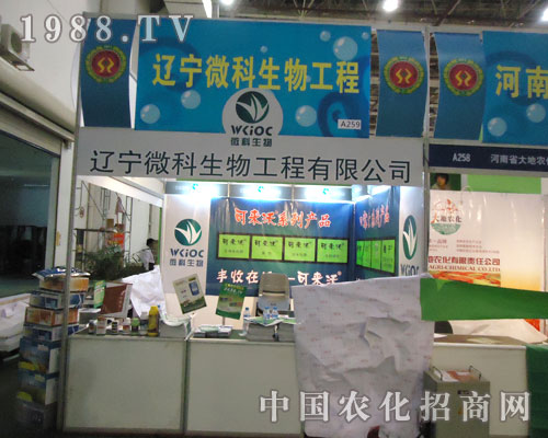 BTr(nng)ˎе(hu)|΢ﲻؓ(f)