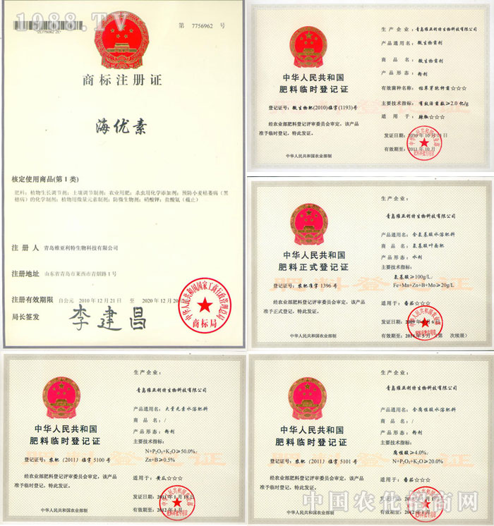 青島維亞利特生物科技有限公司榮譽(yù)展示